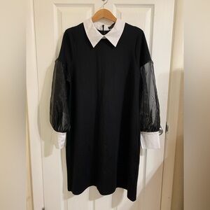 Black Dress with Sheer Sleeves and White Collar Size 1X